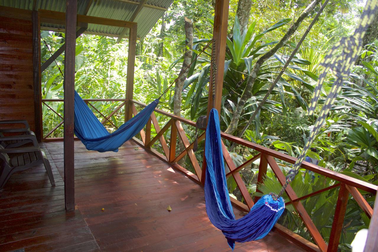 Red Frog Bungalows Surf Resort Bastimentos Exteriér fotografie