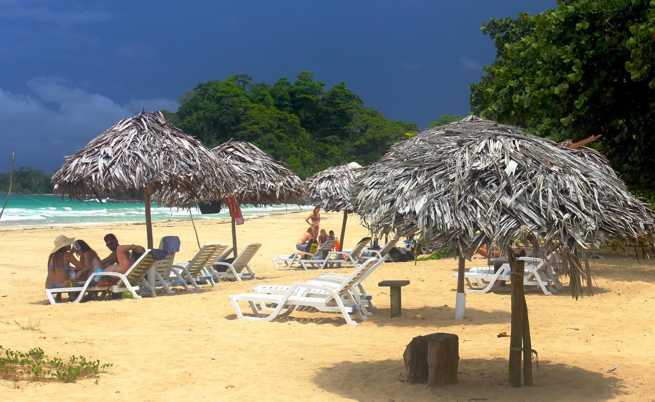 Red Frog Bungalows Surf Resort Bastimentos Exteriér fotografie